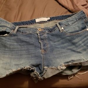 Torrid denim shorts